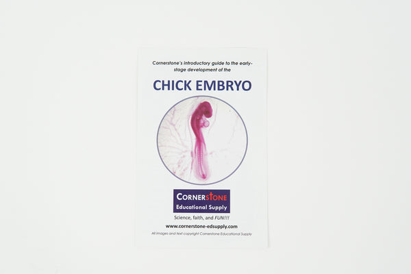 Chick Embryo Guide