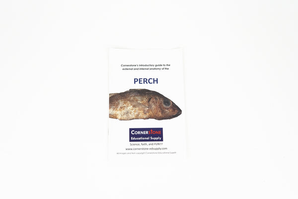 Perch Dissection Guide