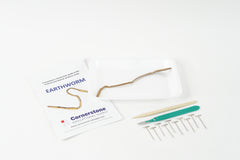 Earthworm Dissection Bundle