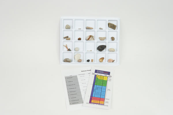Deluxe Fossil Kit