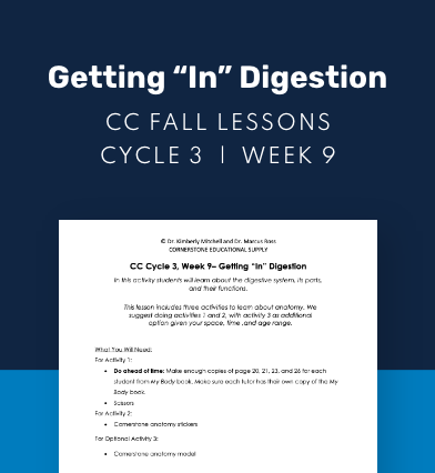 CC Cycle 3 Week 09 Lesson: Getting "In" Digestion