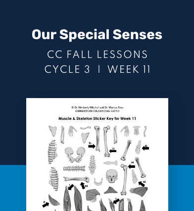 CC Cycle 3 Week 11 Lesson: Our Very Special Senses