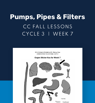 CC Cycle 3 Week 07 Lesson: Pumps, Pipes & Filters