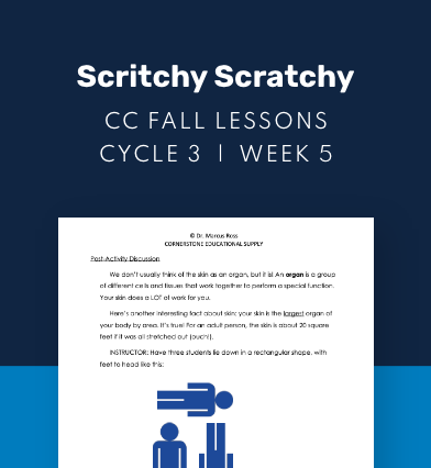 CC Cycle 3 Week 05 Lesson: Scritchy Scratchy