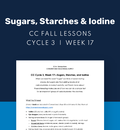 CC Cycle 3 Week 17 Lesson: Sugars, Starches & Iodine